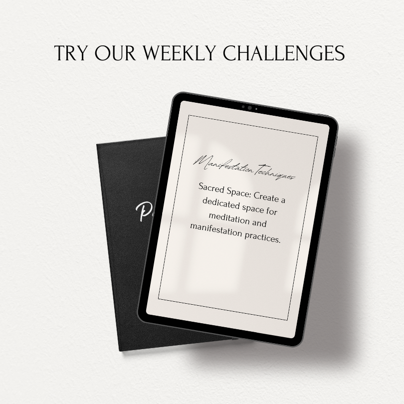 Manifestation Journal